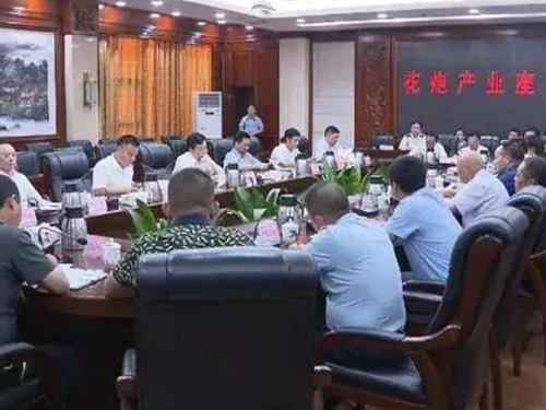 浏阳举行花炮产业座谈会 让浏阳花炮响彻全球 引领全球